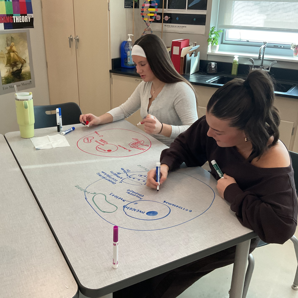 class reviewed the structure and function of the cell organelles and plasma membrane