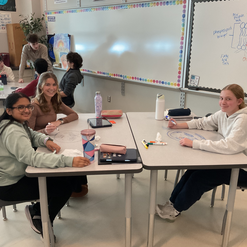 class reviewed the structure and function of the cell organelles and plasma membrane