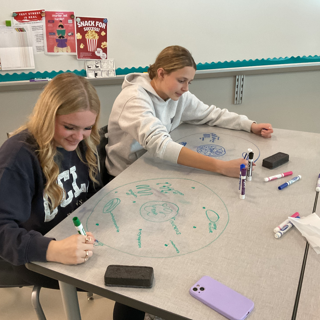 class reviewed the structure and function of the cell organelles and plasma membrane
