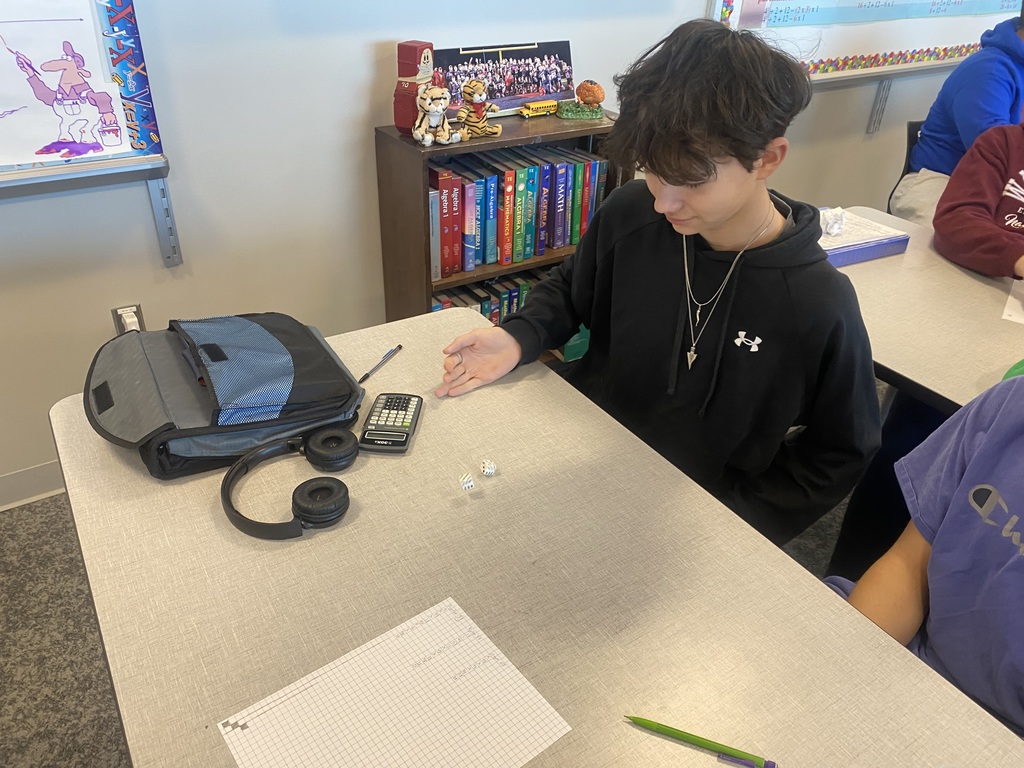 The students are comparing theoretical probability to experimental probability by rolling dice.