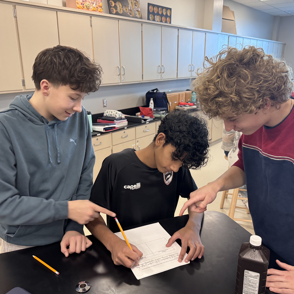 students investigate how temperature influences enzyme activity