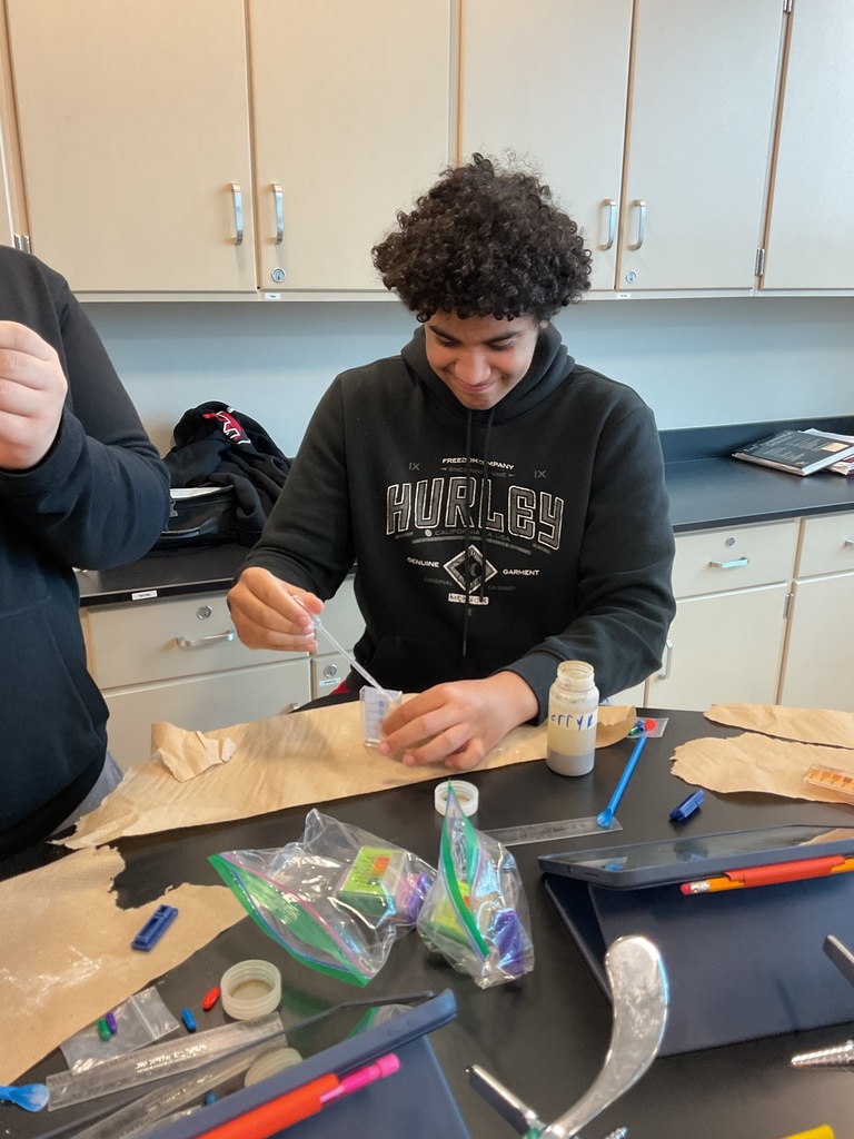 Freshmen environmental science students spent two days in lab determining the characteristics of the soil samples they brought to school.