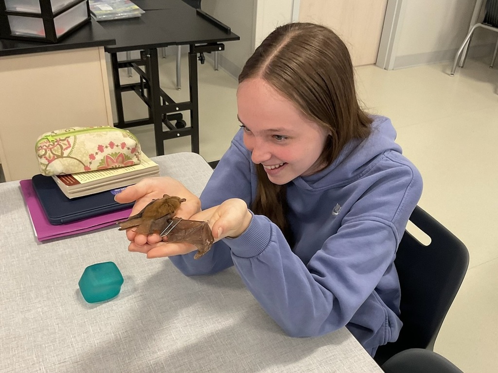 Dr. Steve Ropski, a former Gannon professor, came in to share his knowledge of bats.