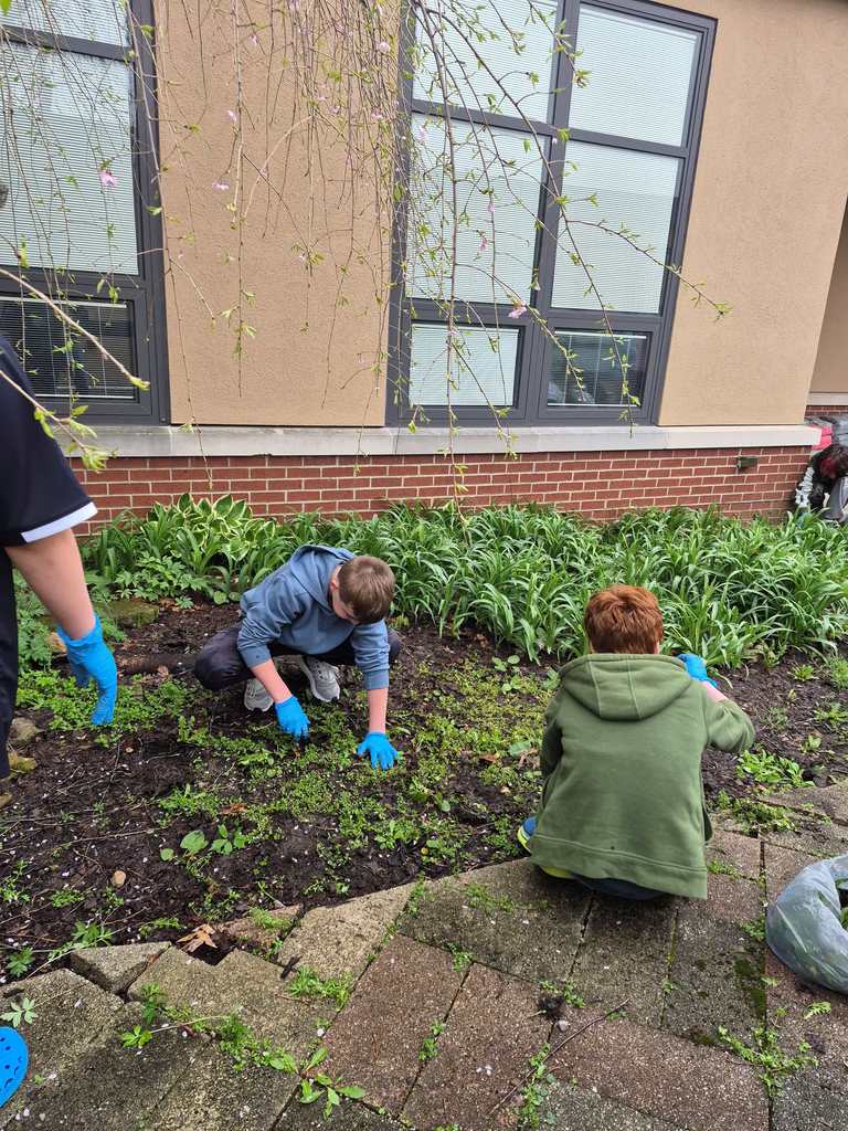 Students weeding in the courtyard
