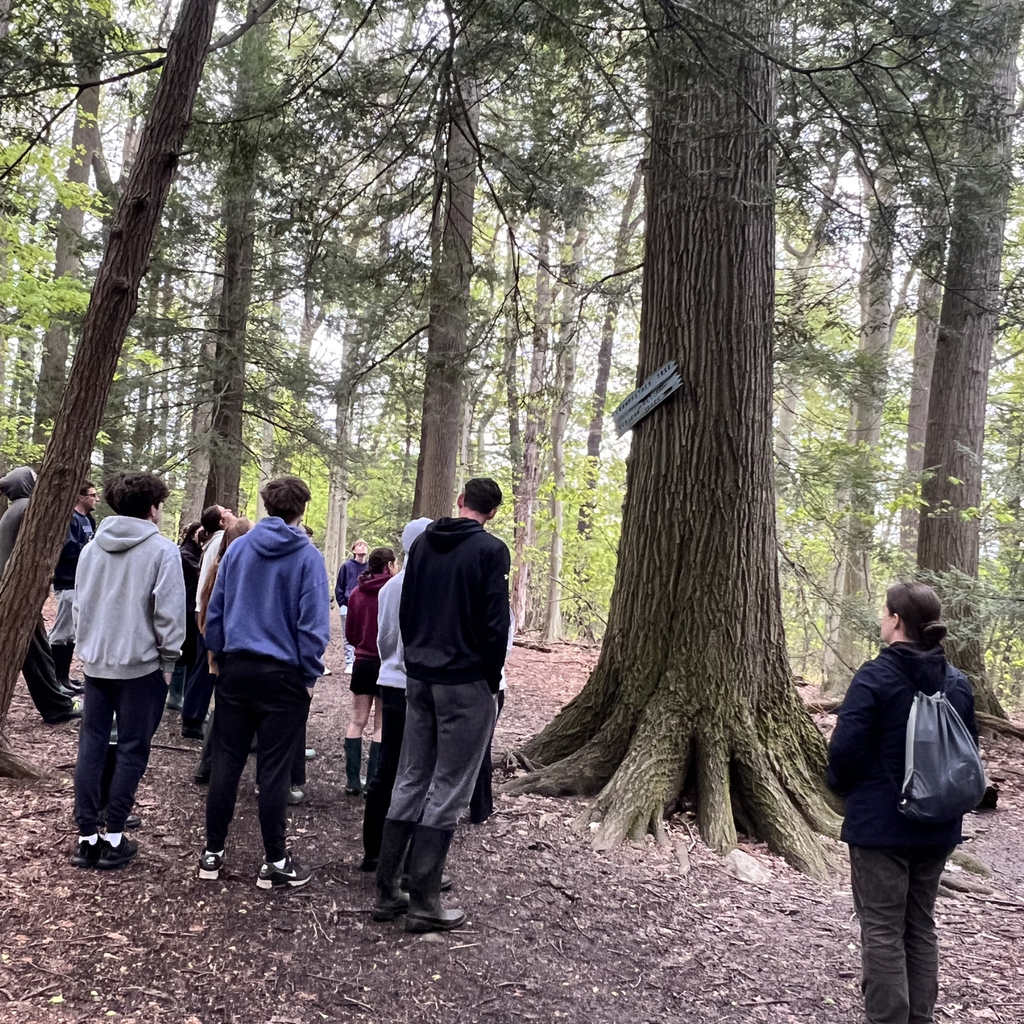 Erie Experience classes returned to Asbury Woods to hike and explore the local nature. 
