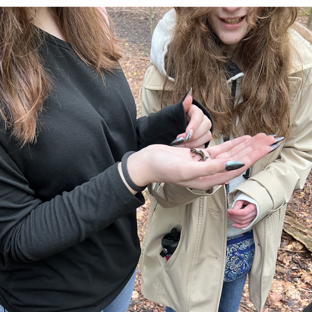 Erie Experience classes returned to Asbury Woods to hike and explore the local nature. 
