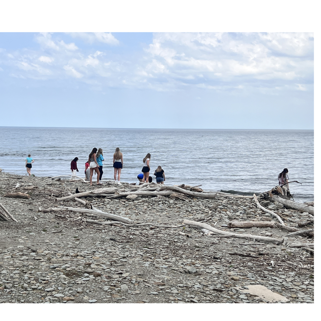What better way to wrap up the final days of the Erie Experience class than by treating yourself at a favorite summer spot, Creamland, and hunting for beach glass along Avonia Beach?