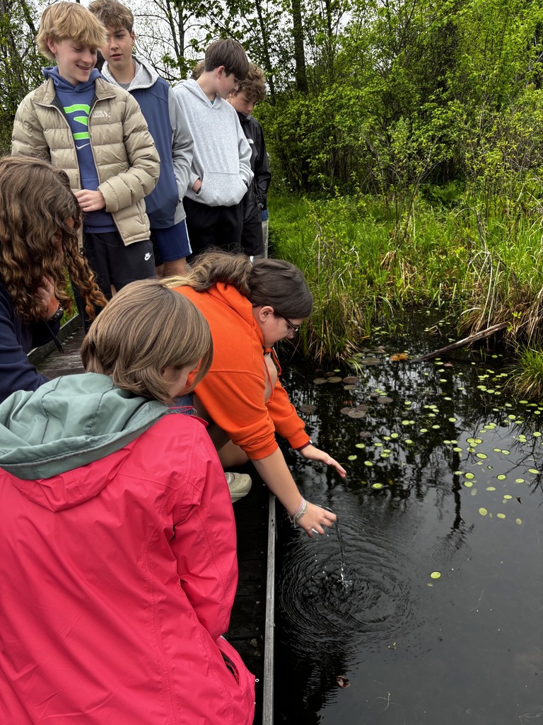 Trout Release