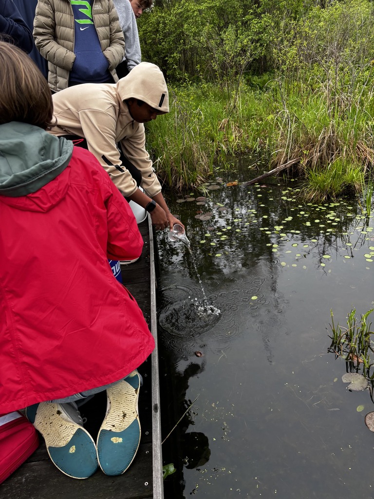 Trout Release