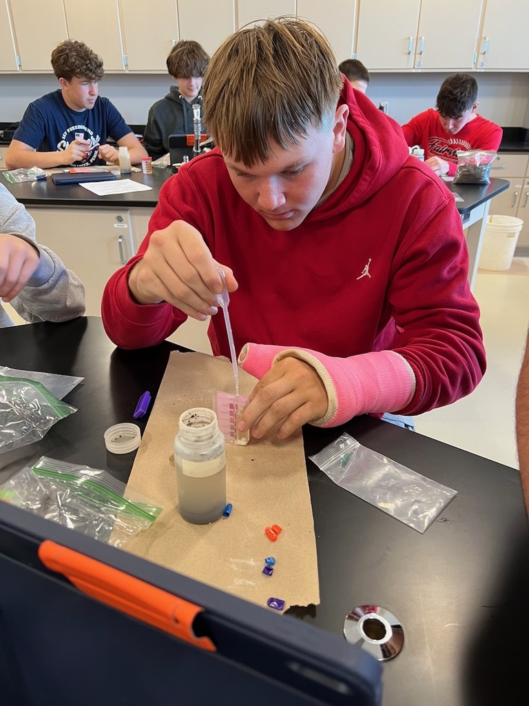 students working with dirt samples
