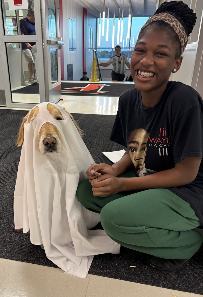 dog in a costume 