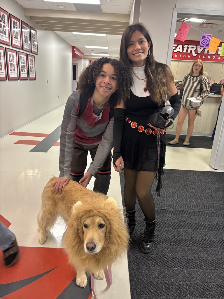 dog in a costume 