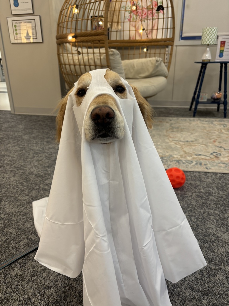 dog in a costume 