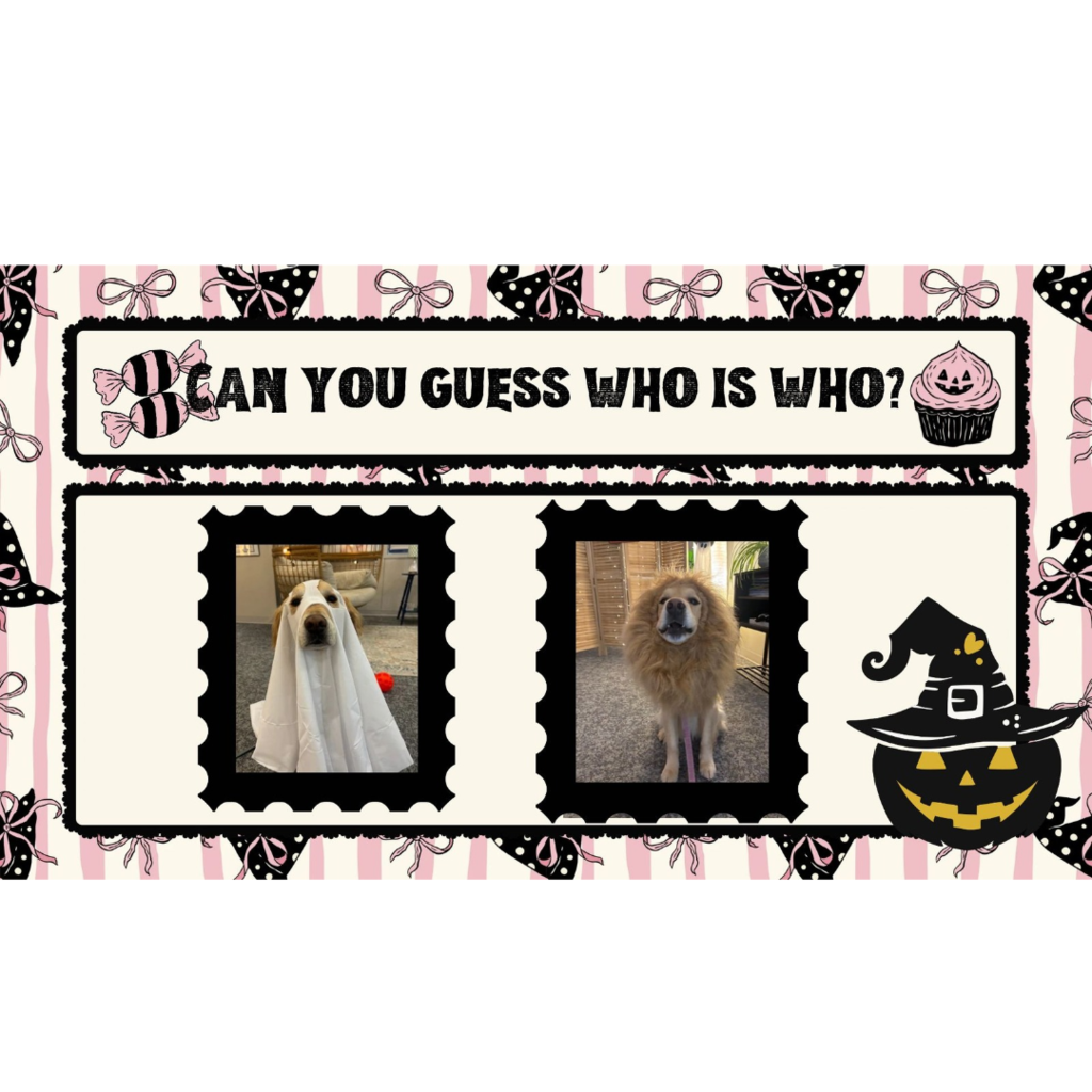 guess the dog