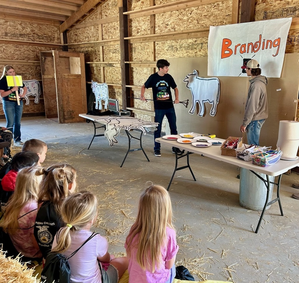 branding demonstration