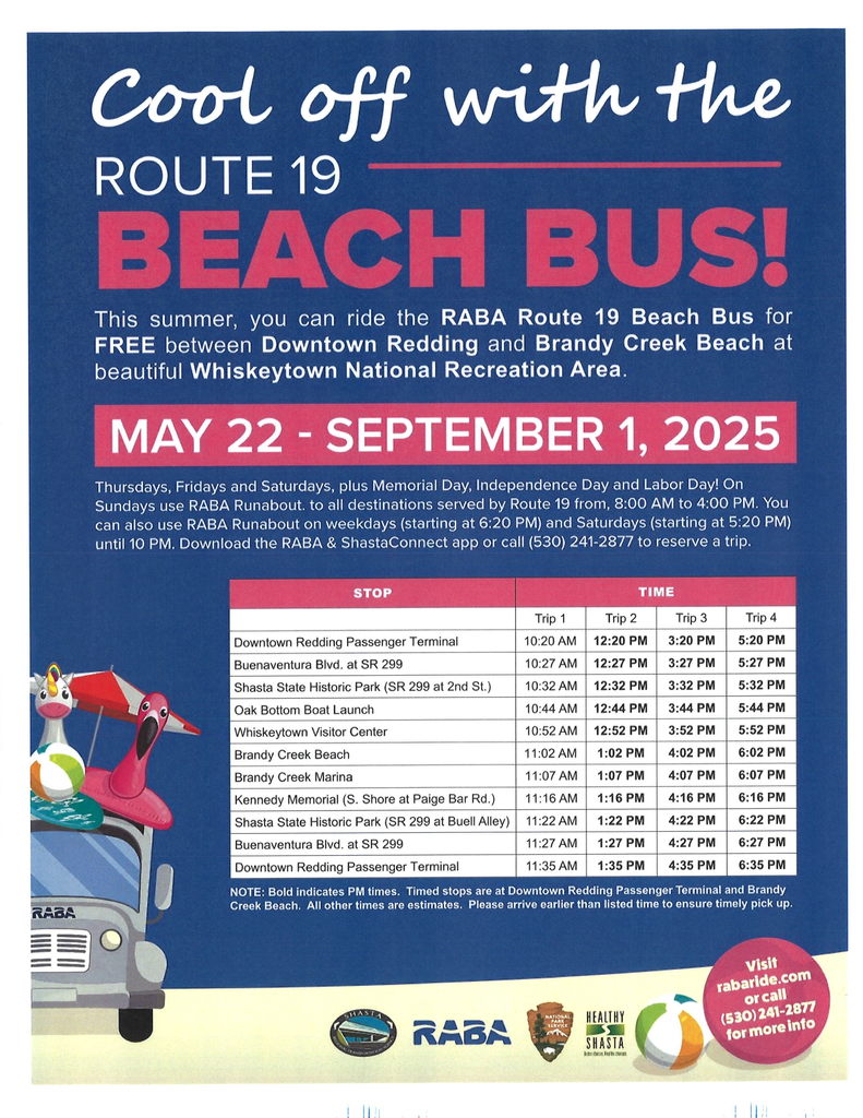Beach Bus
