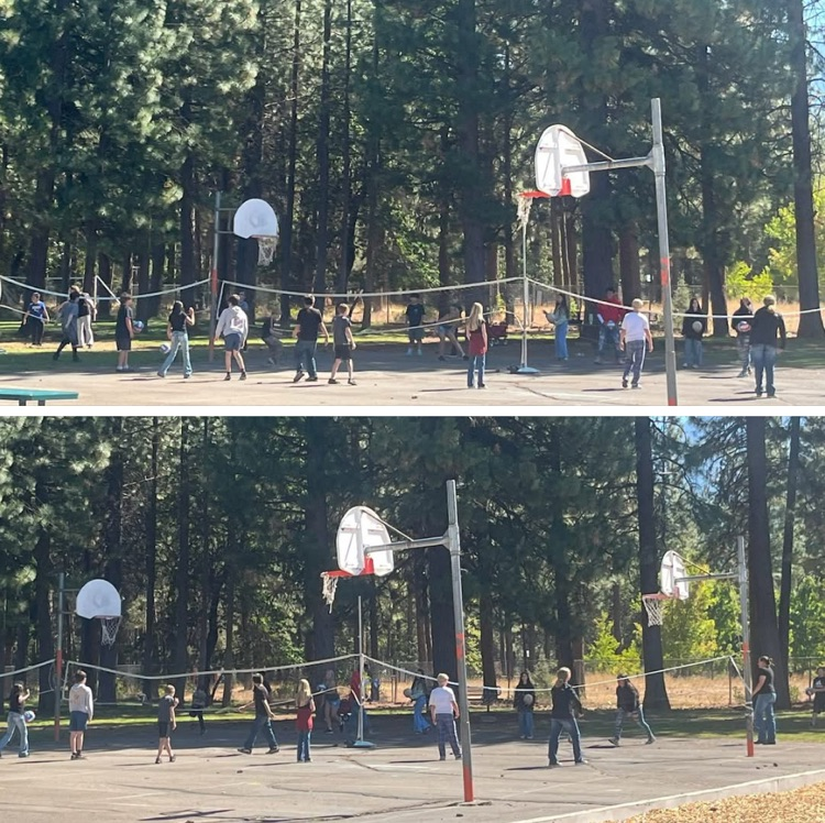 volleyball