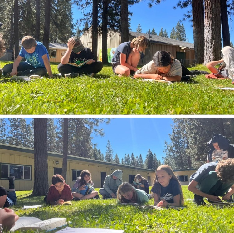 reading outside