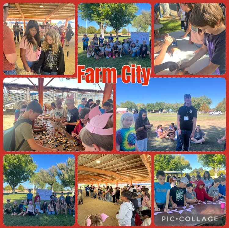 farm city