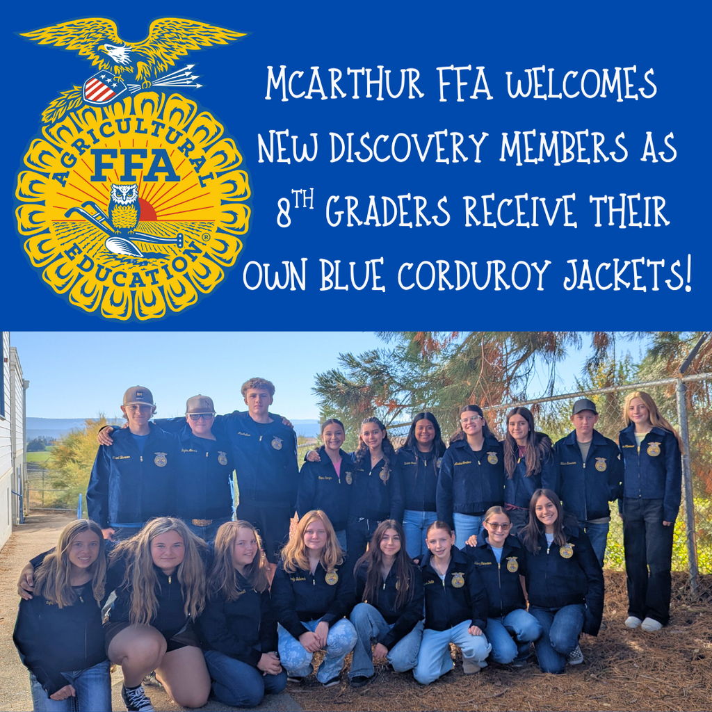 FFA