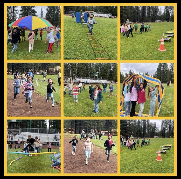 field day