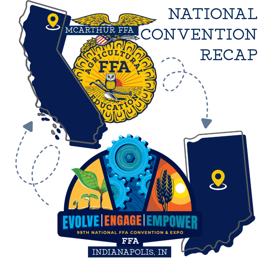 FFA