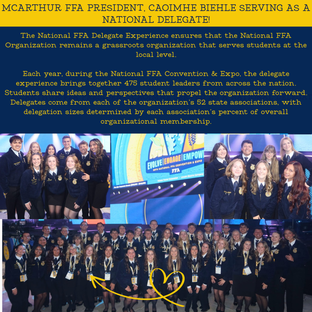 FFA
