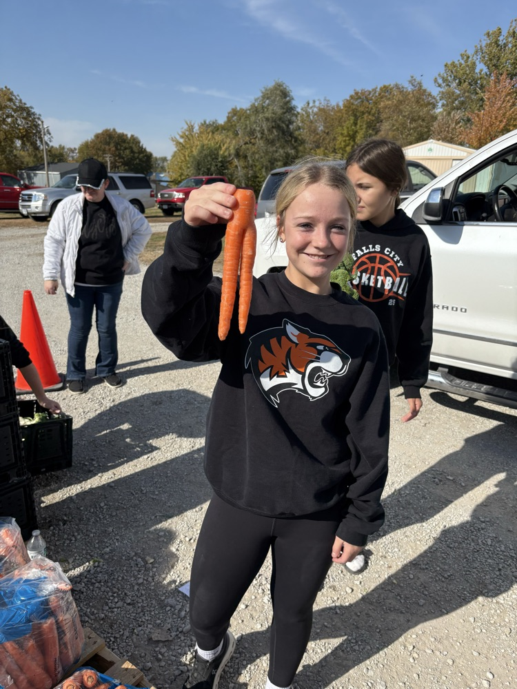 distributing food unique food