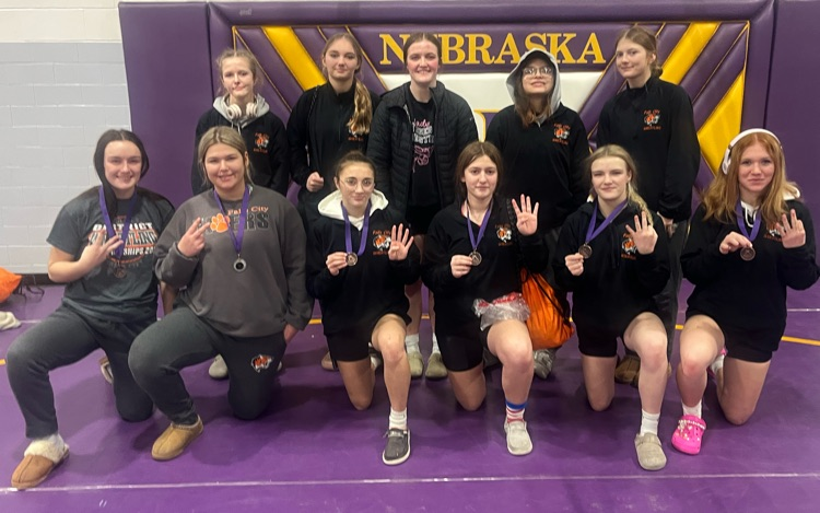 🤼♀️🐅🤼♂️