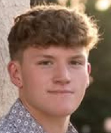 🤼‍♂️🐅🤼‍♀️