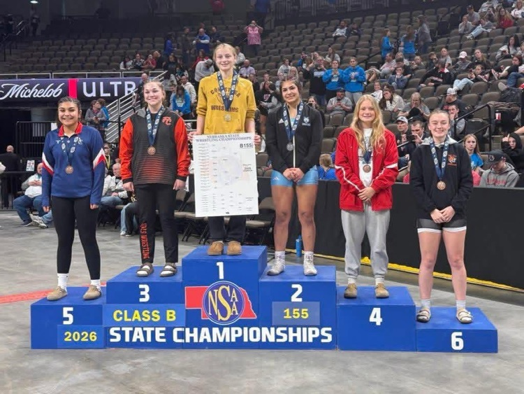 🤼‍♂️🐅🤼‍♀️