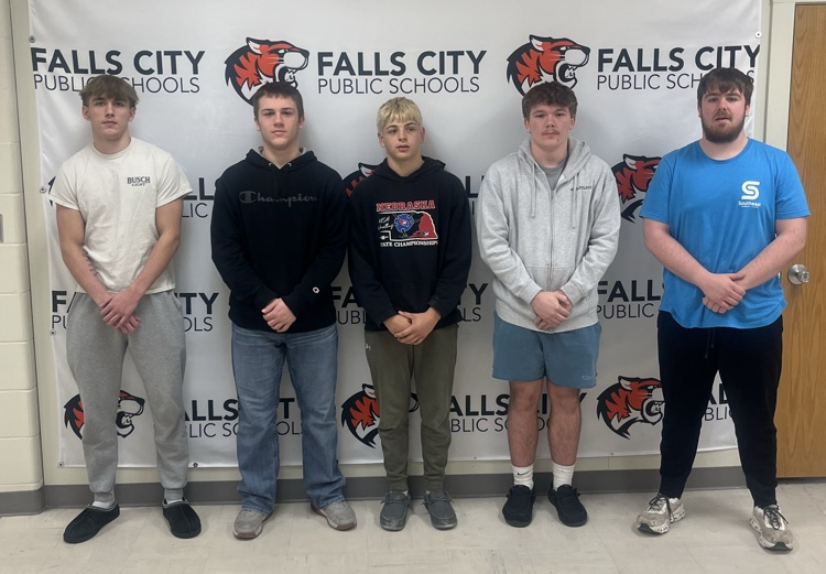 🤼‍♂️🐅🤼‍♀️