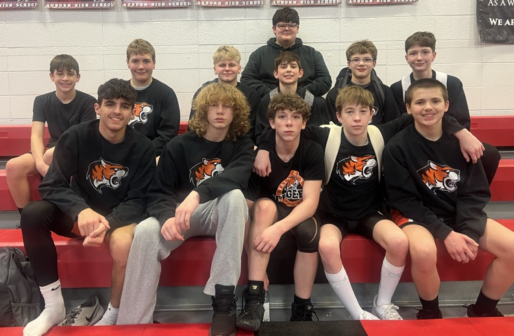 🤼‍♀️🐅🤼‍♂️