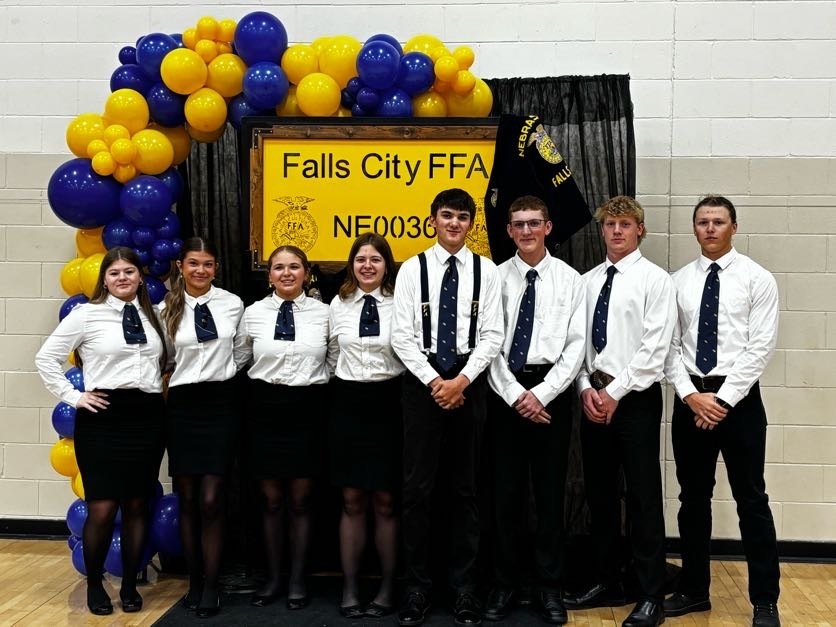 #fallscityffa