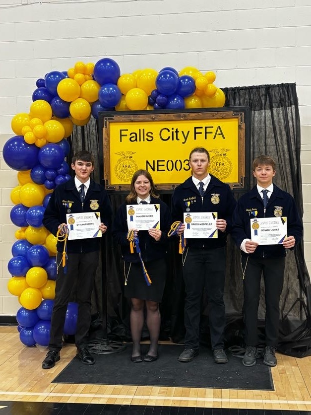 #fallscityffa