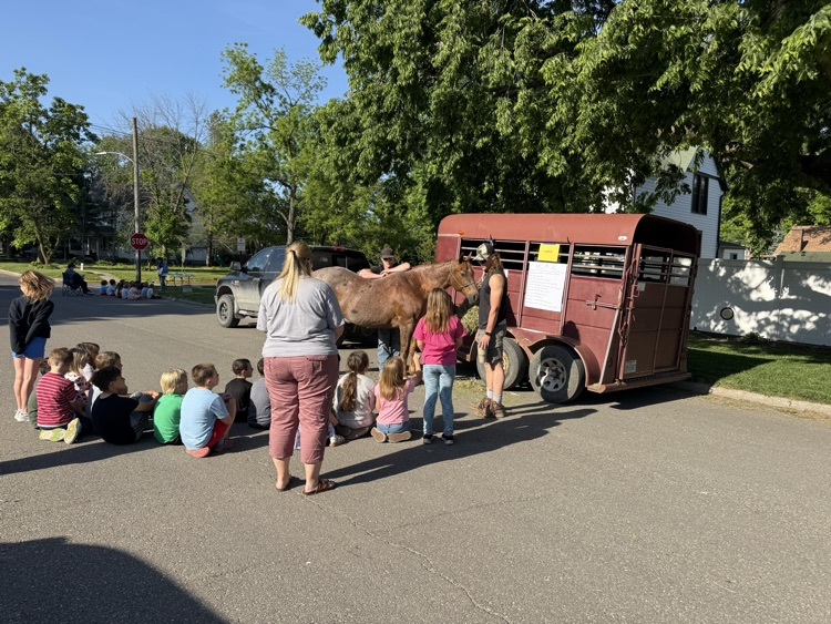 petting animals