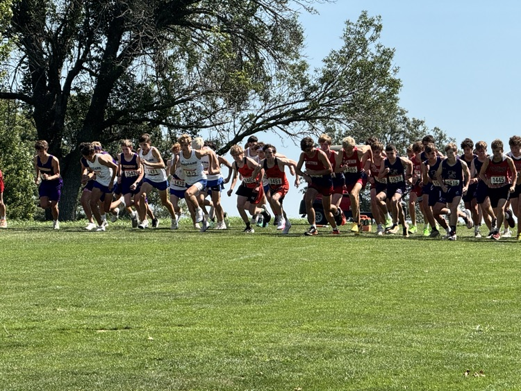 Auburn xc