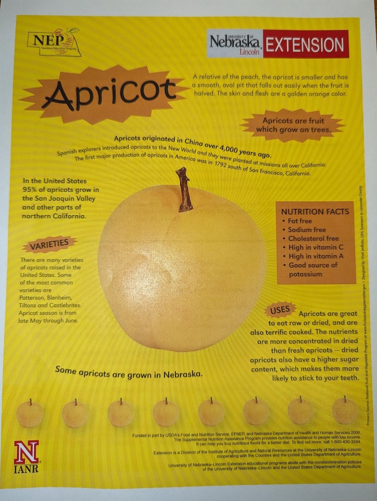Apricot