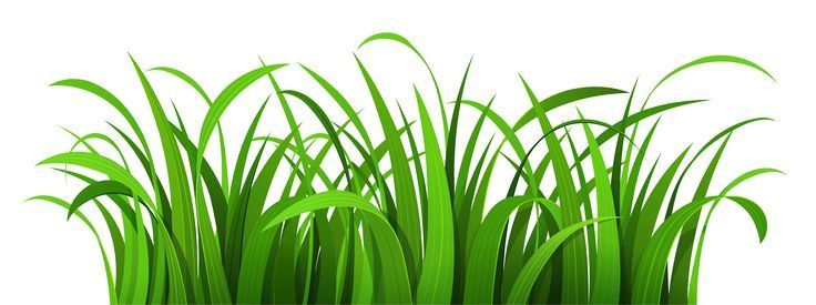 Herbicide Application
