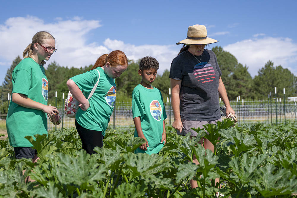 Learning Where Our Food Comes From