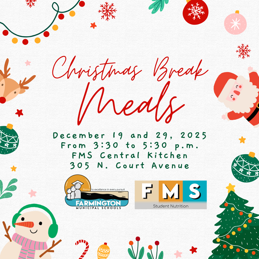 Meals During the Christmas Break