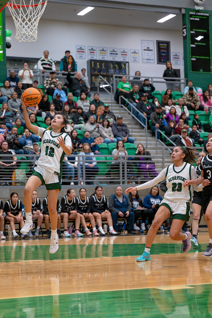 FMS In The News: Lady Scorpions capture regular season district crown with 9-1 record. By Quentin Jodie, Navajo Times. The Farmington girls basketball team were honored on Friday night for winning the District 1-5A regular season crown. After dropping their first district game to Rio Rancho, the second-ranked Lady Scorpions (23-3) responded with nine straight league wins as Farmington will host the district tournament championship game on Friday night at 6 p.m. Read more: https://navajotimes.com/rezsports/basketball/lady-scorpions-capture-regular-season-district-crown-with-9-1-record/