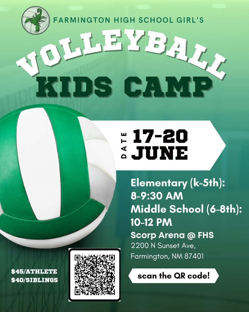 Volleyball Camp