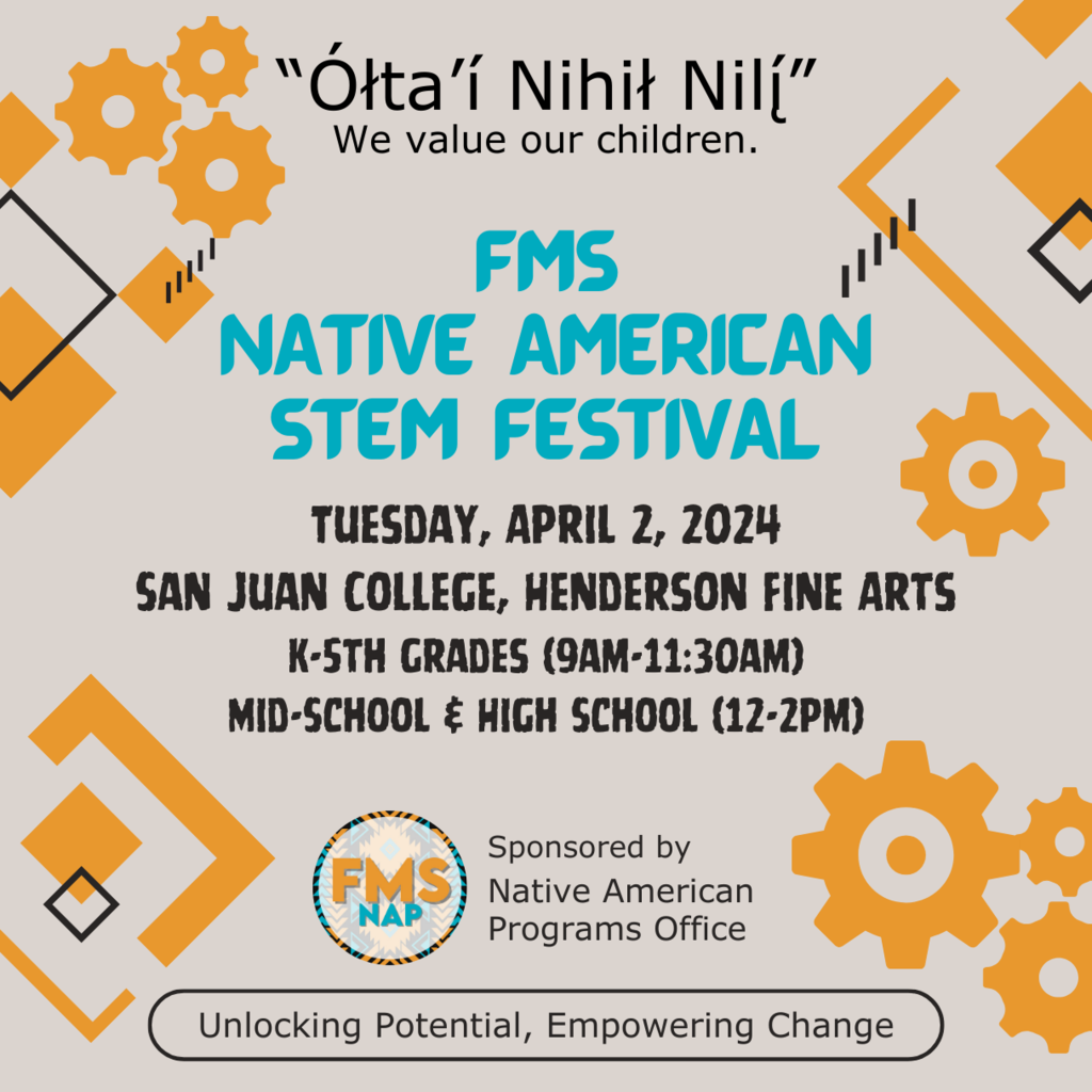 STEM Festival