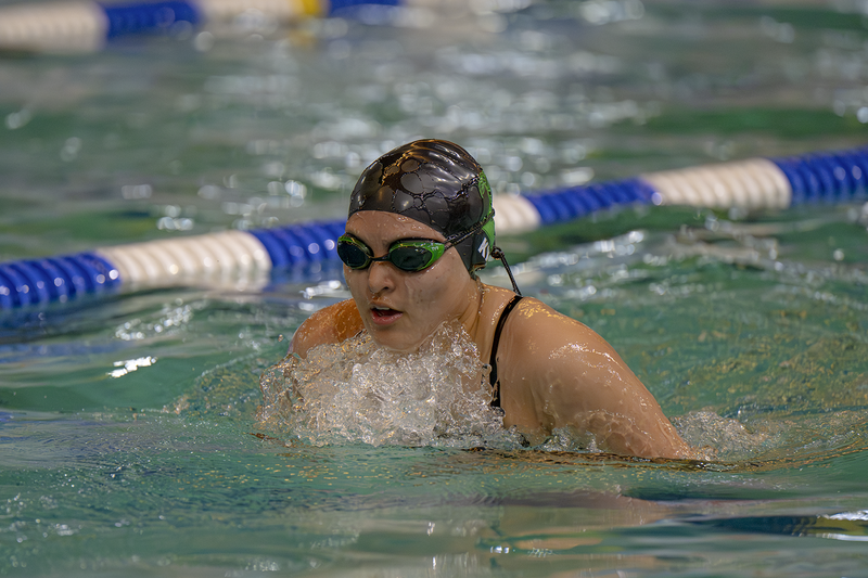 10th Bill Hudson Memorial Swim and Dive Results