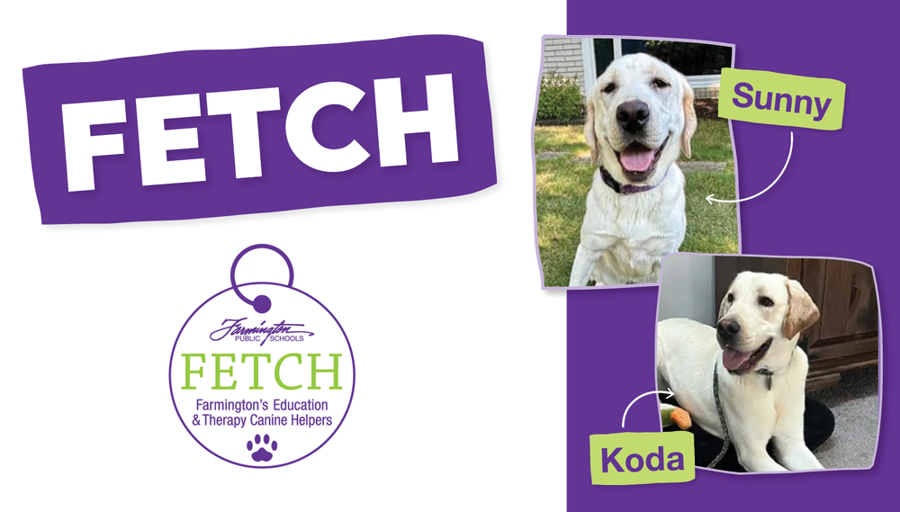 FETCH : Farmington's Education & Therapy Canine Helpers
