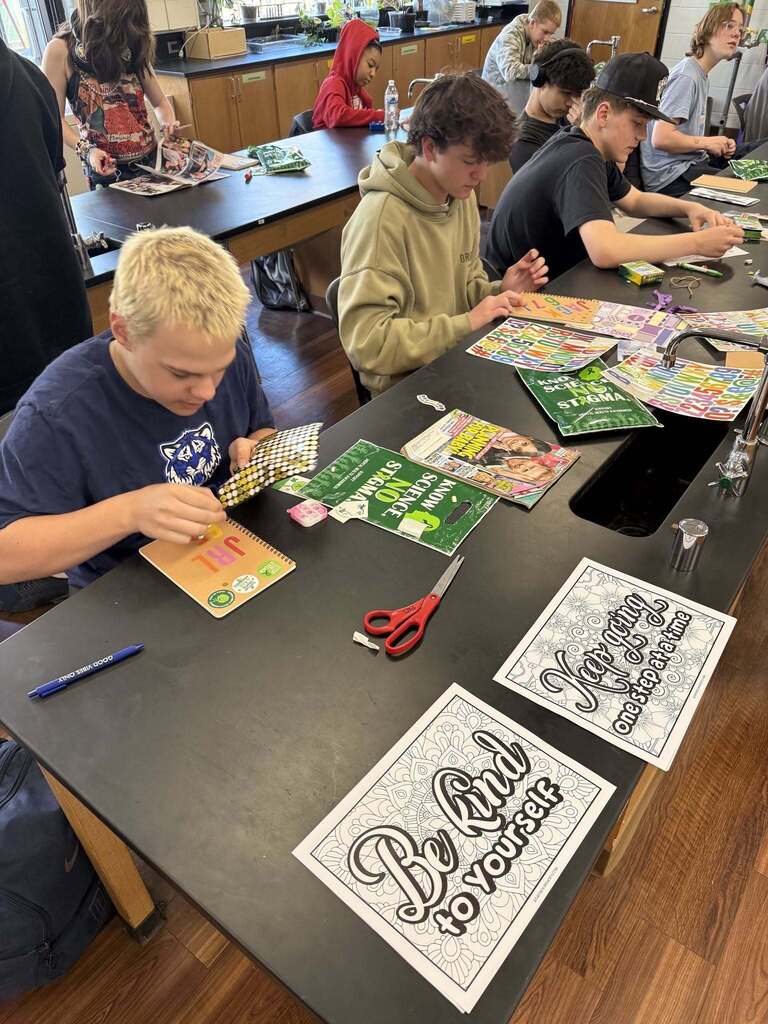 Students working on a project in a lab during FHS' Mental Health Resource Fair.