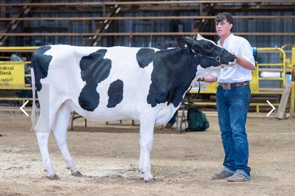 student with livestock