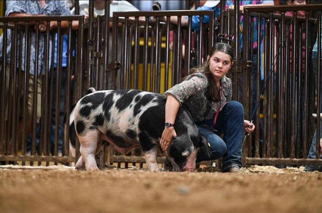 student with livestock
