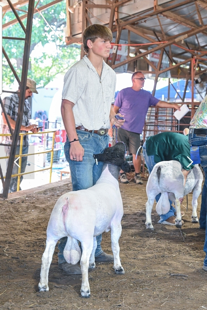 student with livestock